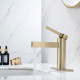 Single Faucet Bathroom Sink Lavatory Faucet with Drain Assembly F50