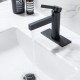 Single Faucet Bathroom Sink Lavatory Faucet with Drain Assembly F50